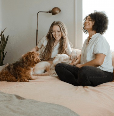 professionell sofftvätt och möbeltvätt, vi tvättar din soffa på plats. tvätta soffa. möbeltvätt.. sofftvätt. kemtvätt